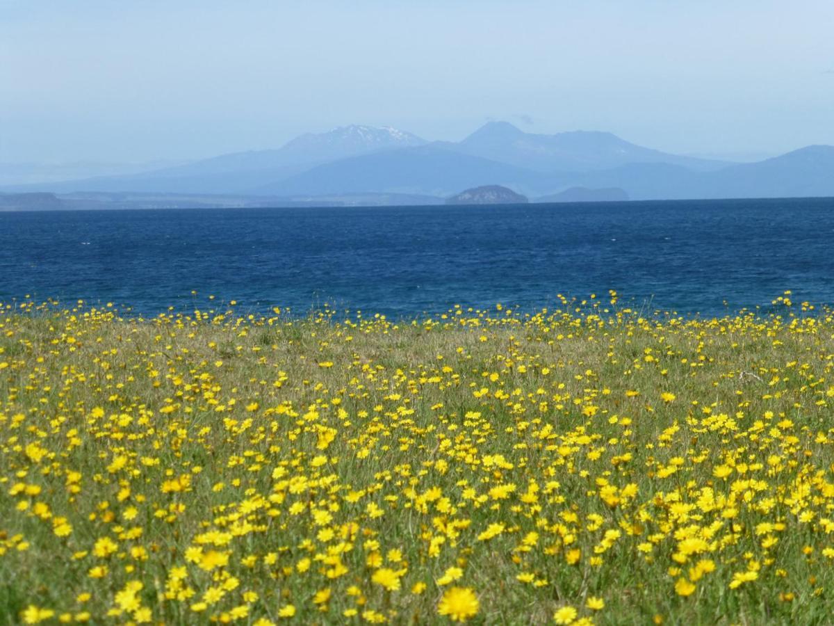 You Little Beauty - Wharewaka Beach Magic Lac Lac Taupo Extérieur photo